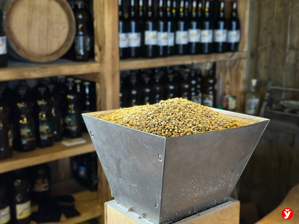 Воложинский район глазами блогеров