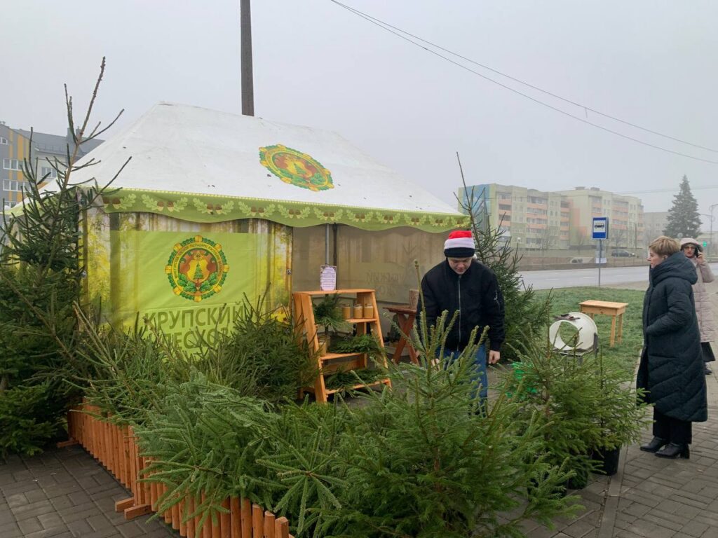 Новогодний кошелек Крупки