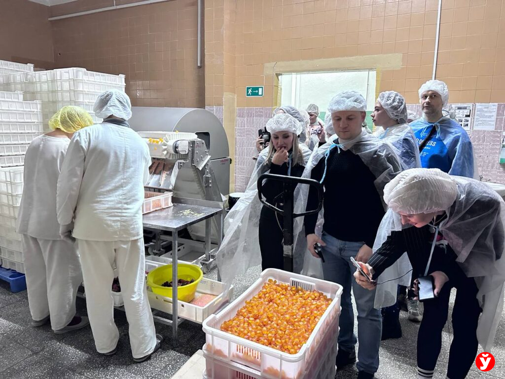 Воложинский район глазами блогеров