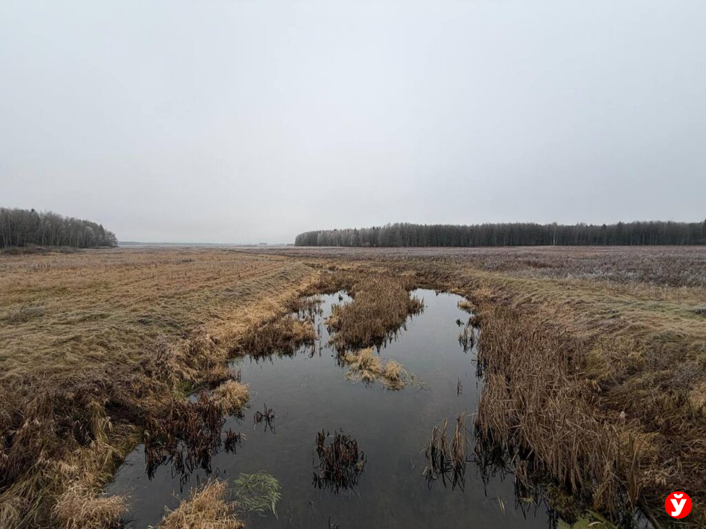 Всего несколько часов света: 21 декабря Беларусь переживет самую длинную ночь 2025 года