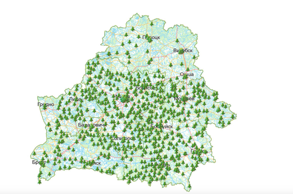 карта елочные базары