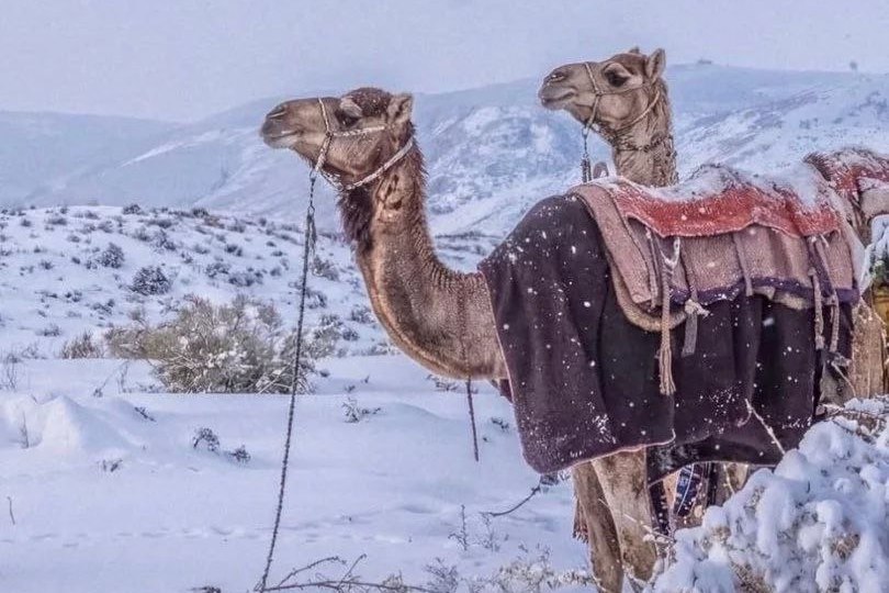 в Саудовской Аравии выпал снег