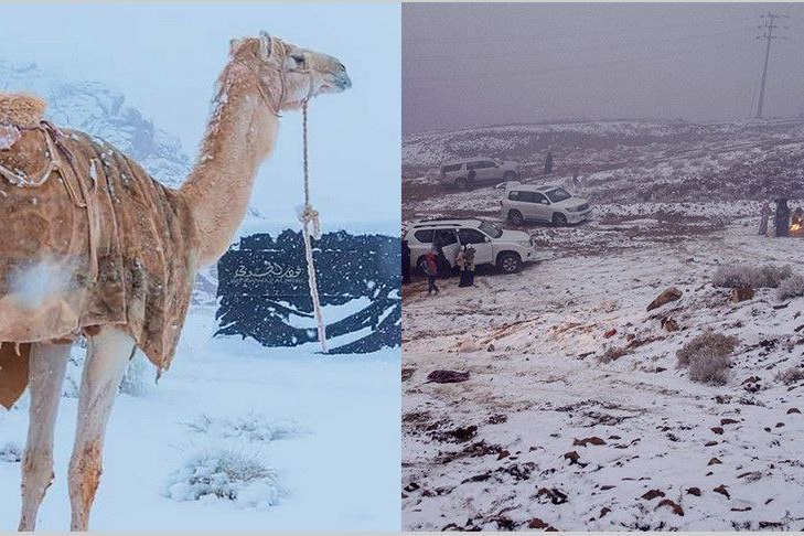 В Саудовской Аравии выпал снег — ждать ли заморозков в Беларуси?