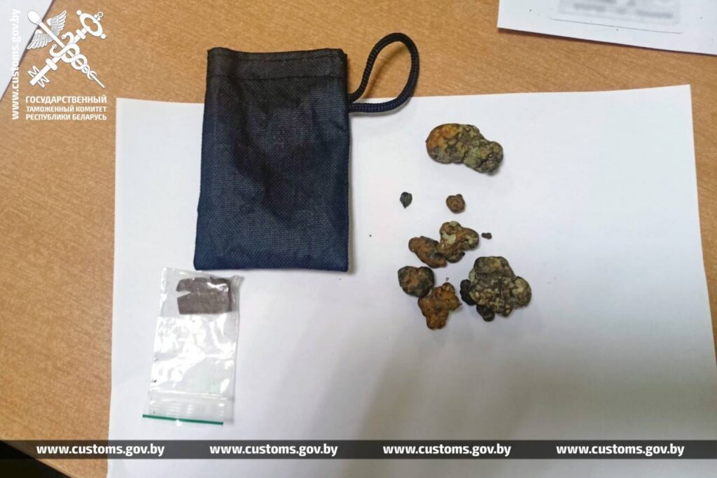 Пассажир автобуса пытался провезти психотропные грибы — «запрещёнку» обнаружила служебная собака