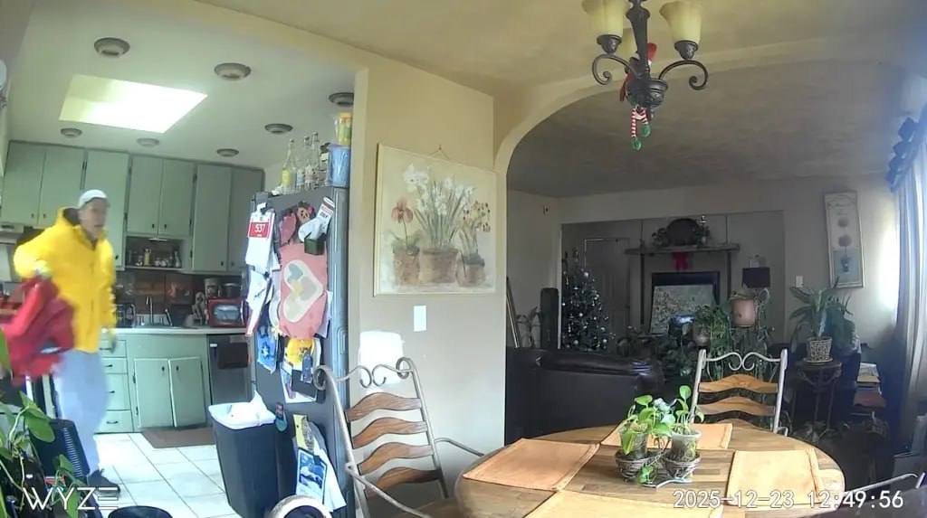 12-летний мальчик предотвратил ограбление, как в фильме «Один дома»