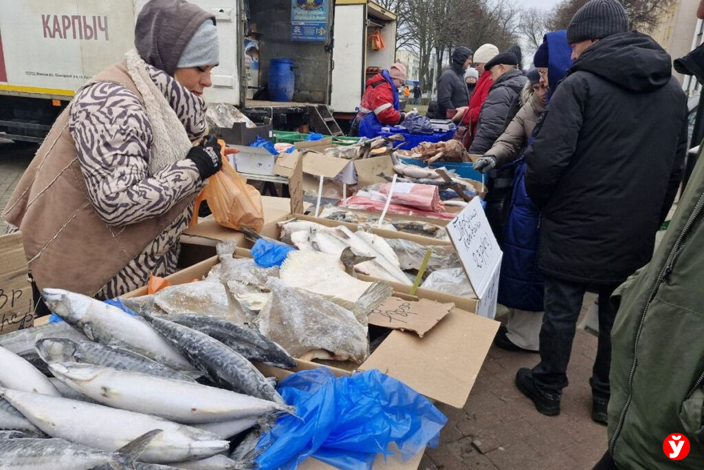 Ярмарка в Солигорске: какие цены на мандарины, рыбу и ёлки за 6 дней до Нового года