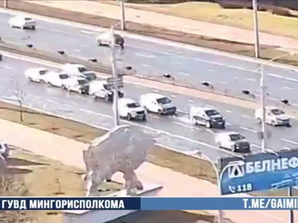 Четыре автомобиля столкнулись в Минске