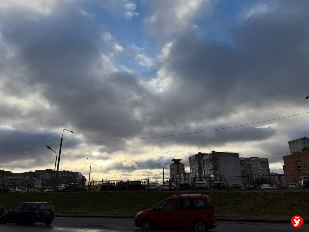 Снег, метель и порывистый ветер: прогноз погоды в Беларуси на 28 декабря