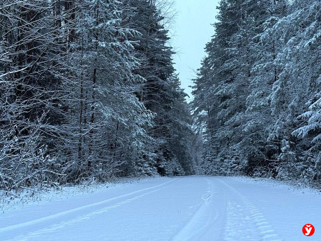 29 декабря в Беларуси ожидаются снег, порывистый ветер и гололёд