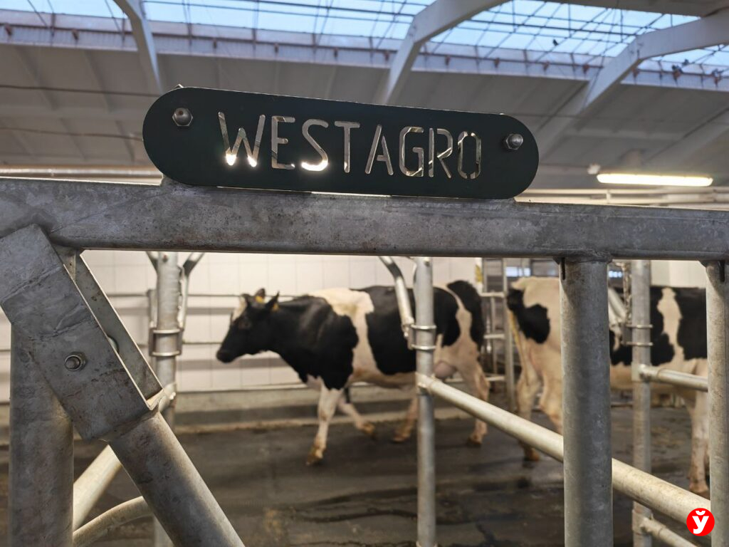 Молоко будущего: под Клецком открыли один из самых крупных в Беларуси инновационных МТК Минщины