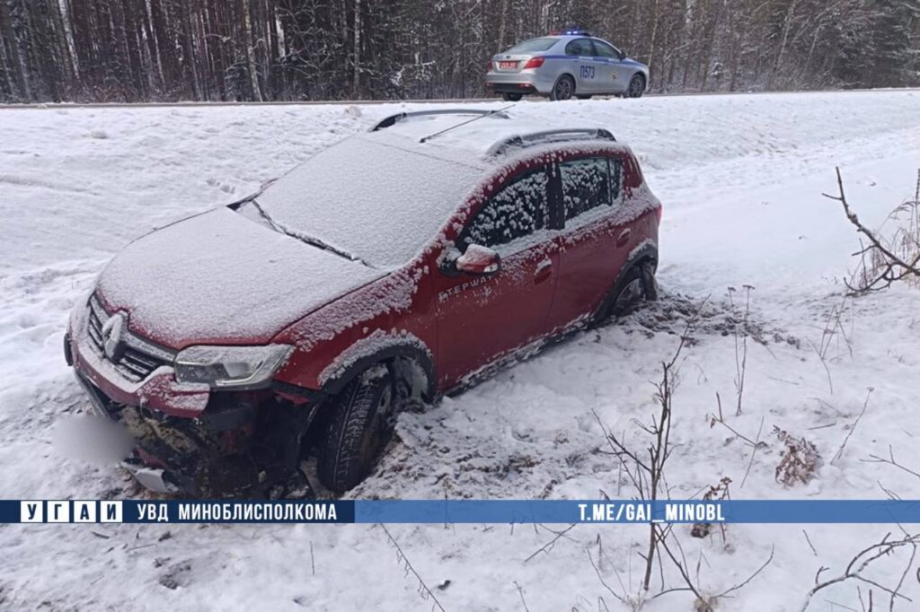 Лось стал причиной ДТП в Березинском районе