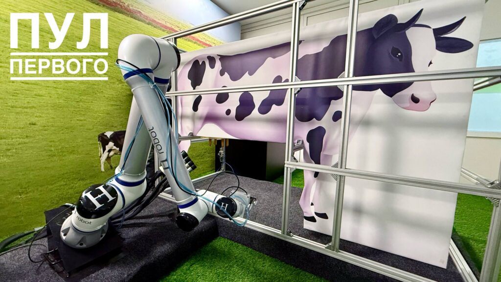 Роботы будут доить коров на «Горизонте»