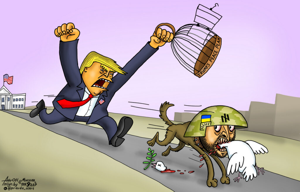 Псы войны выходят из-под контроля