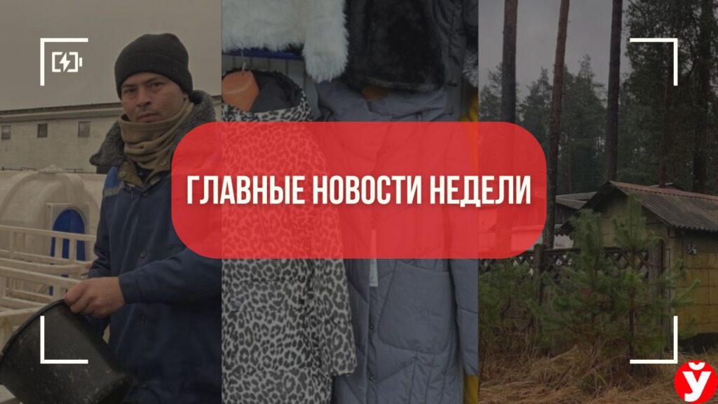 Топ-5 новостей Минщины: туркмен-фермер, дешёвые куртки и кино-городок за копейки