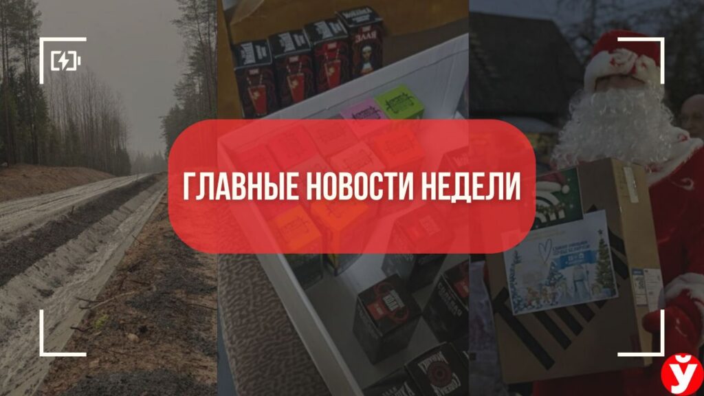 Топ-5 новостей Минщины: скандал вокруг лесной дороги, подарки многодетным и подпольный бизнес