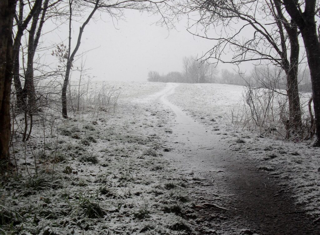 Южный циклон принесет аномально теплую погоду в Беларусь в декабре