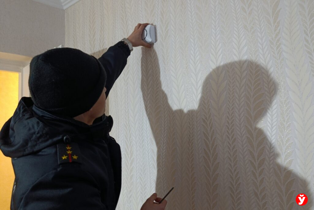 «Есть живой извещатель — кошка Анфиса». Выяснили, почему отказываются даже от бесплатного спасения