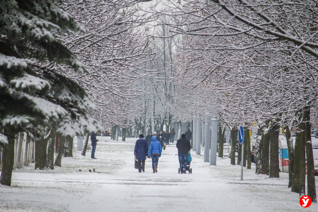 В Беларуси новые правила соцстрахования и пенсионного обеспечения — что изменится для граждан