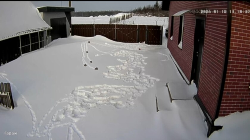 В Колодищах куропатки устроили заезды с горки во дворе частного дома