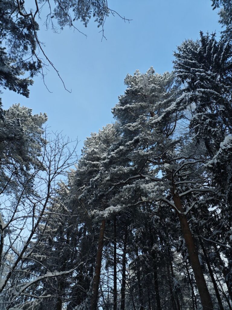 В страну идет потепление: синоптики в TikTok  обнадежили белорусов, но ненадолго