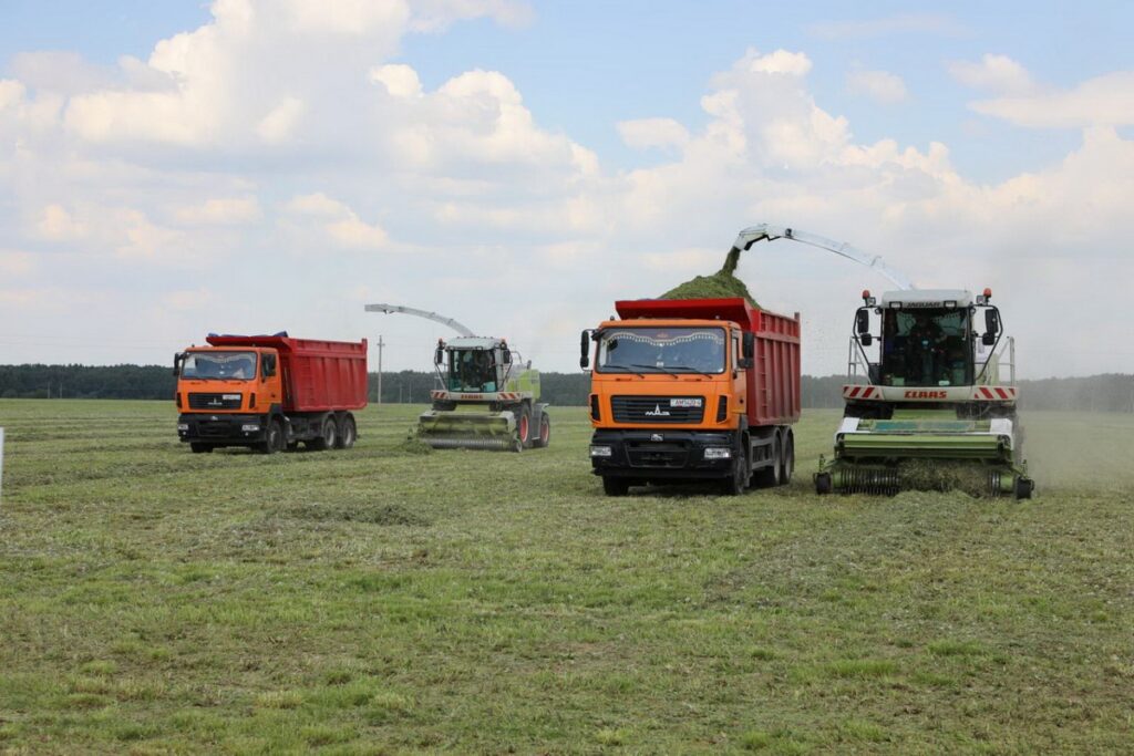 500 процентов роста производства за два года: как «Василишки» подняли соседнее хозяйство