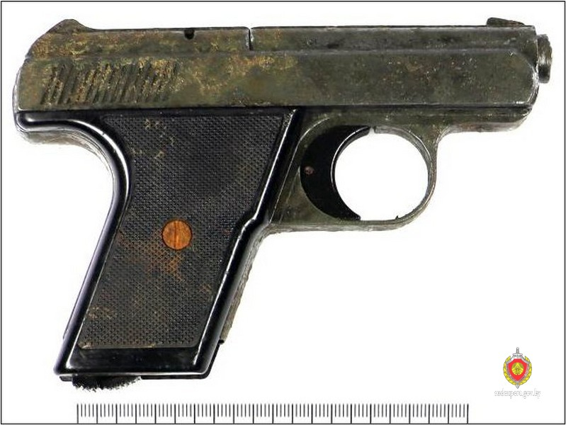 На берегу Припяти нашли газовый пистолет — что показала экспертиза