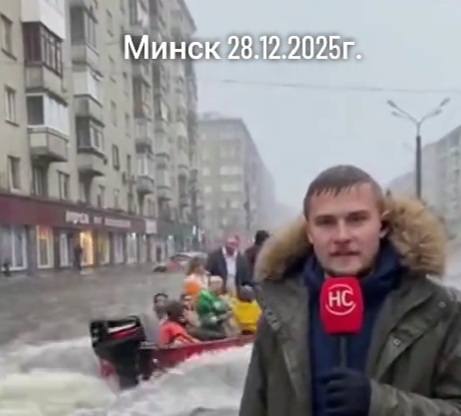 От льва в магазине до наводнения в Минске: топ самых вирусных ИИ-роликов недели