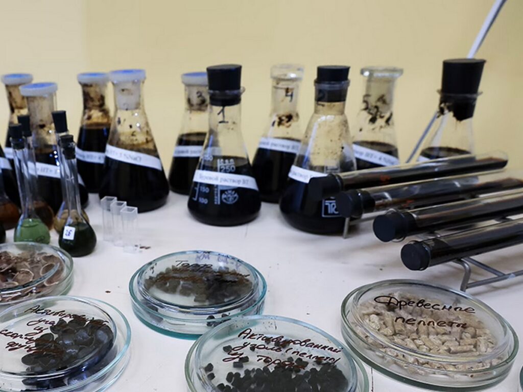 Белорусские ученые разработали торфяной субстрат для выращивания шампиньонов