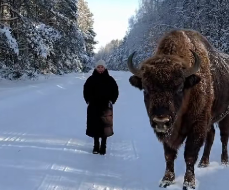 Фейк недели: самые убедительные ролики, созданные нейросетью