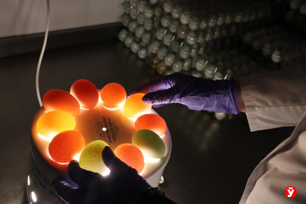 Нитраты, цезий и тухлые яйца: можно ли купить опасную еду на рынках «Валерьяново» и «Таборы»?