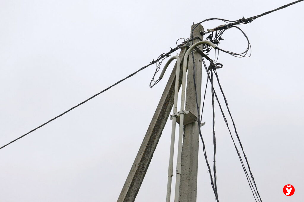 Как Беларусь готовится к циклону «Леони» и ледяному дождю — рассказали в Минэнерго