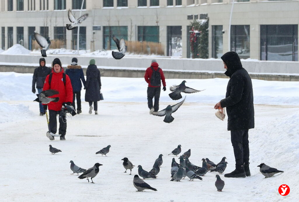 Почему в Минске загрязненный воздух? Ответили в Белгидромете