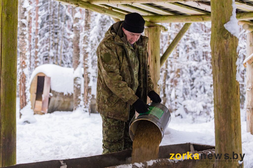 Тайные гости «лесных столовых»: чьи следы чаще всего находят егеря у кормушек?