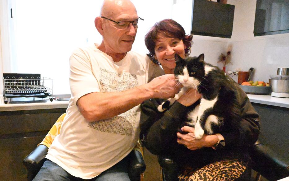 Кот преодолел 250 км и нашёл путь домой из Испании во Францию