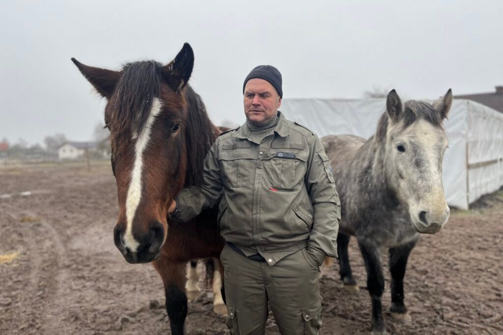 «Они умнее людей» — тракторист из Луговой Слободы рассказывает, как учит лошадей жестами