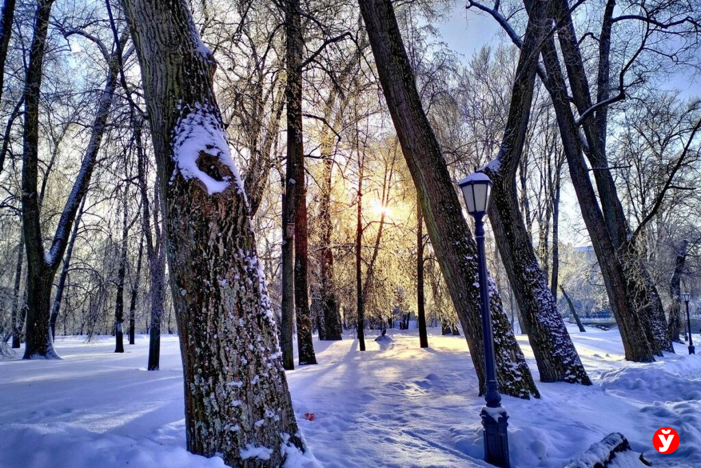 Сильные морозы и гололедица — какая погода ждет белорусов в субботу