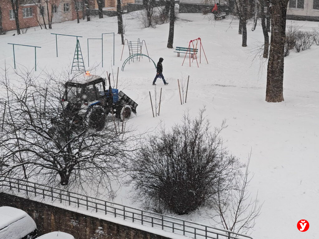 Через мороз и вьюгу — к сплочённости: как белорусы прошли проверку стихией