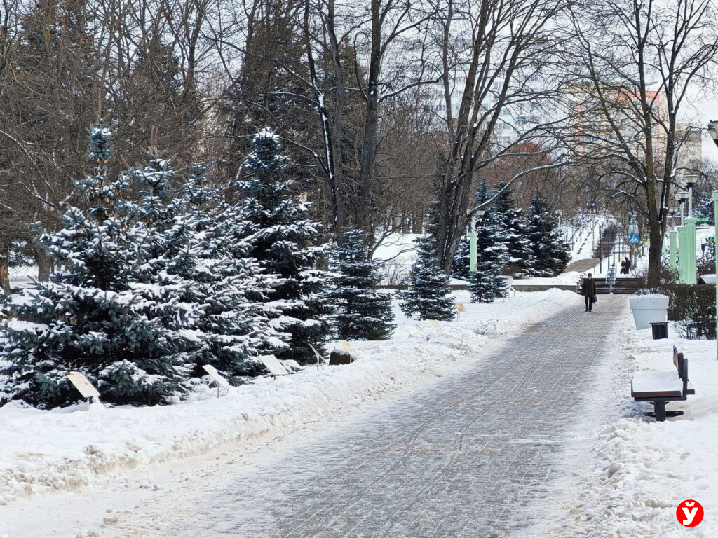 Гололёд отправляет в больницы: в Беларуси вдвое выросло число травм с начала 2026 года