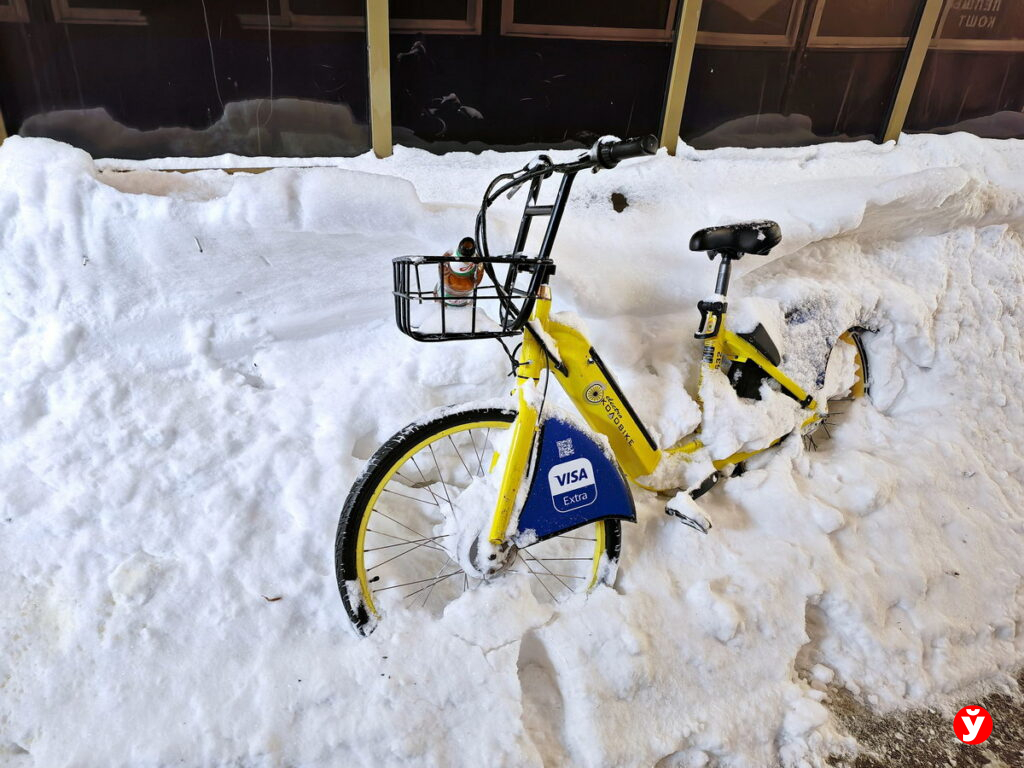 Гололёд и порывистый ветер: что ждать от погоды 25 января