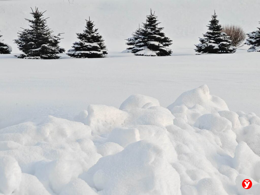 Мороз до -25°С и гололедица ожидаются в Беларуси 20 января
