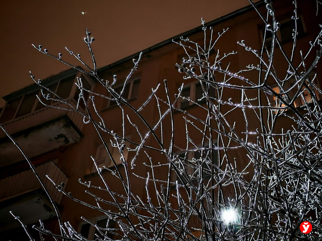 Морозы возвращаются в Беларусь. Какая погода ждет белорусов 31 января