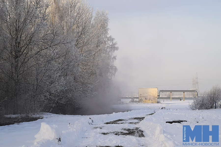 Лукашенко рассказал, какой проблемой больше всего «болеет» в морозы