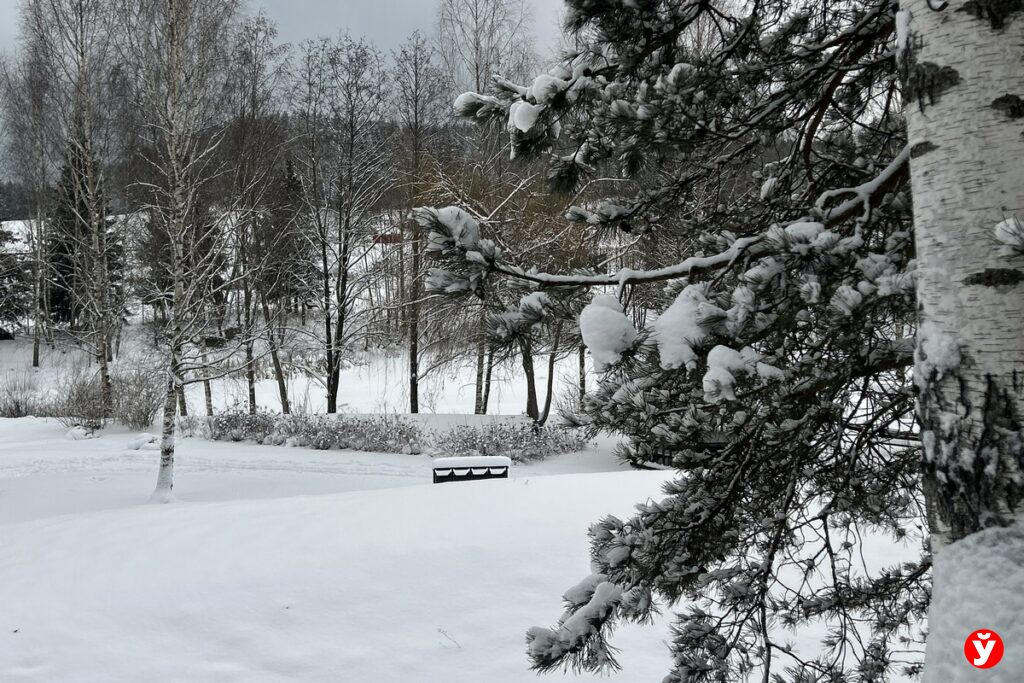 «Я Господа просил, чтобы был морозец и снег»: Лукашенко рад настоящей белорусской зиме