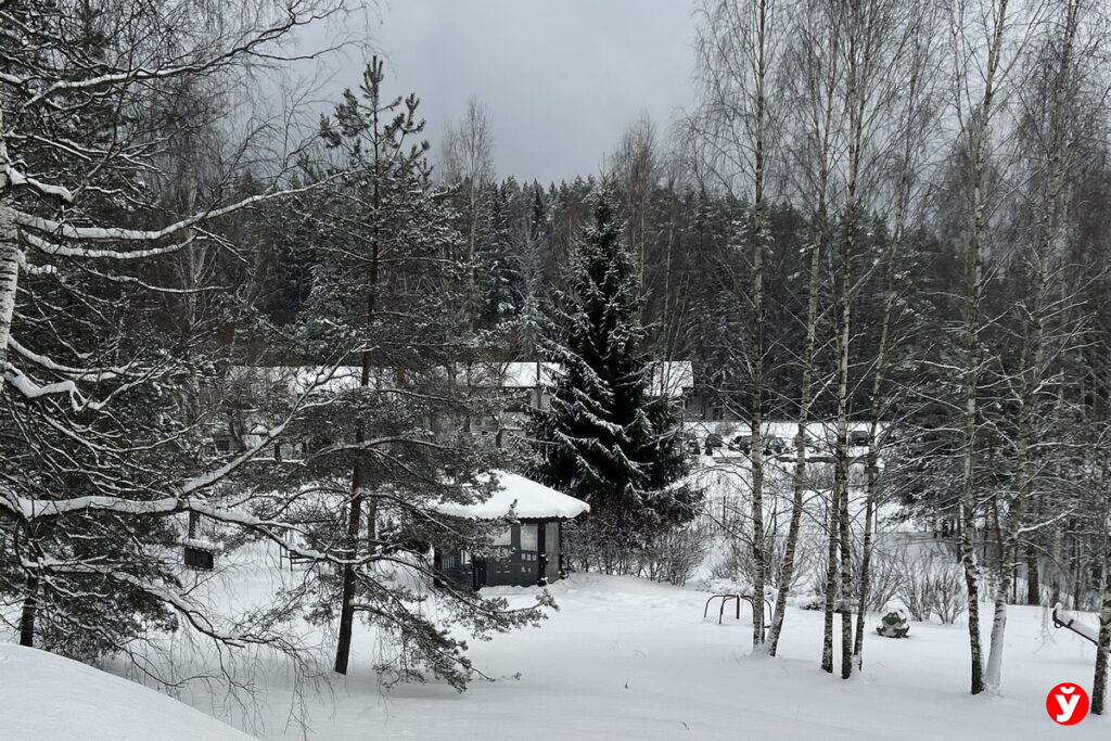 От метелей до -28°C — что принесет циклон «Улли» белорусам