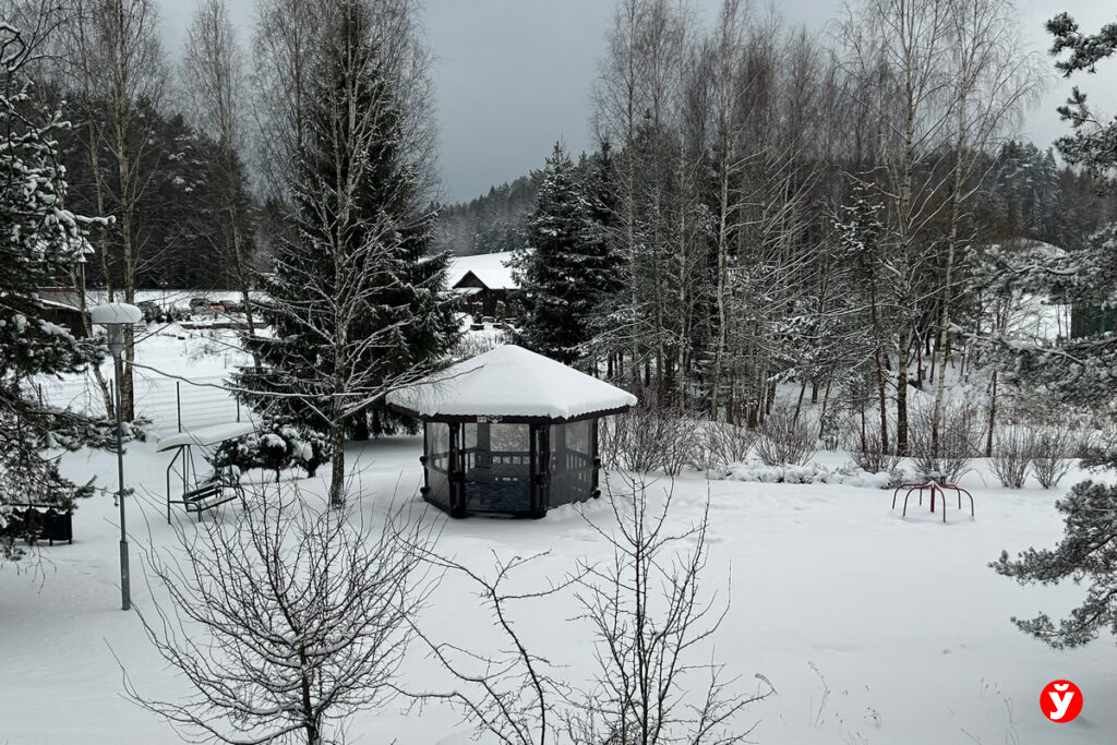 Не убран снег со двора? Жители Минской области могут обратиться на горячую линию