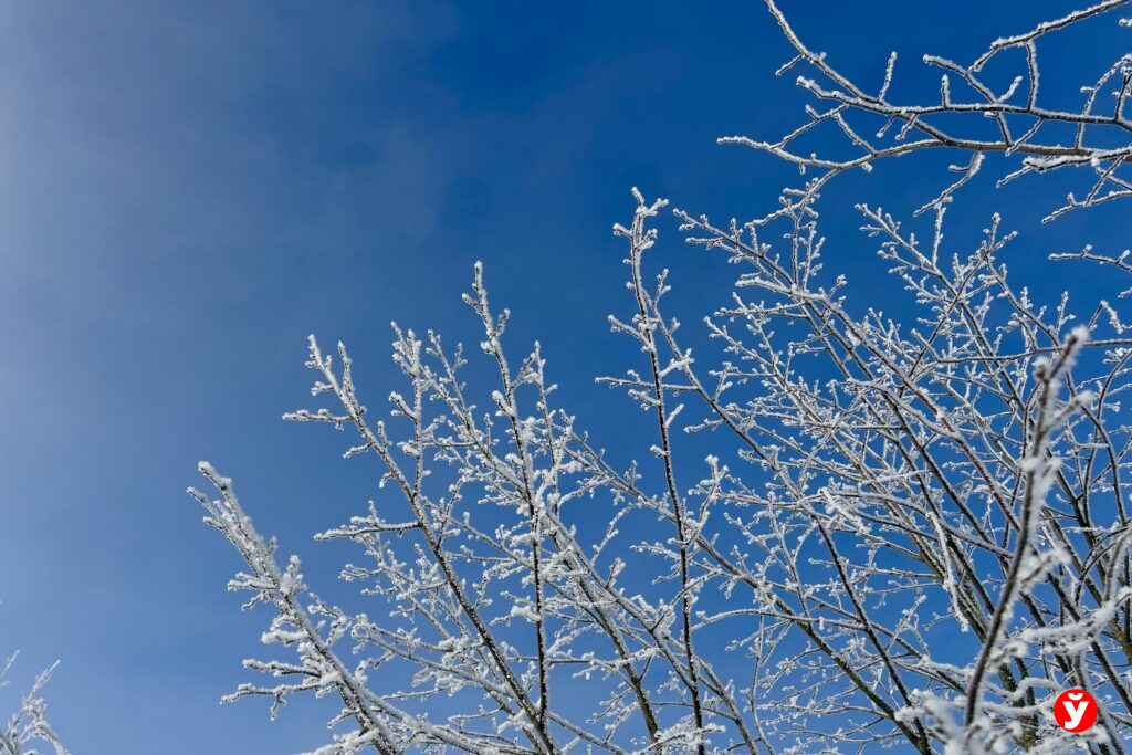 Снова выпадет снег? Какая погода ждет белорусов 22 января