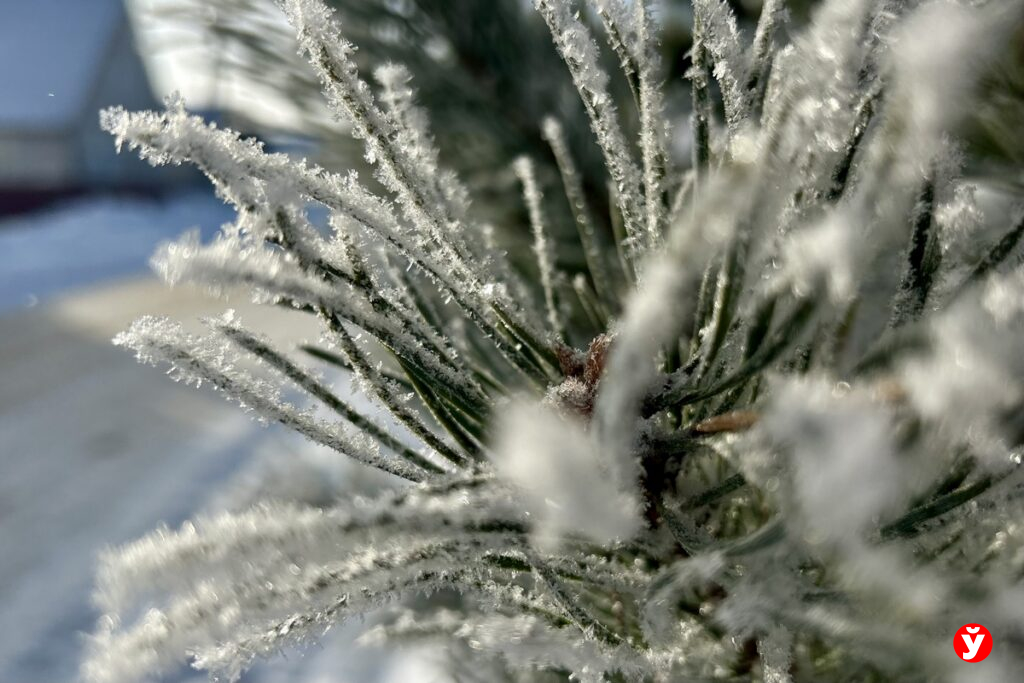 Потепления белорусам пока ждать не стоит — какой будет погода в ближайшие дни