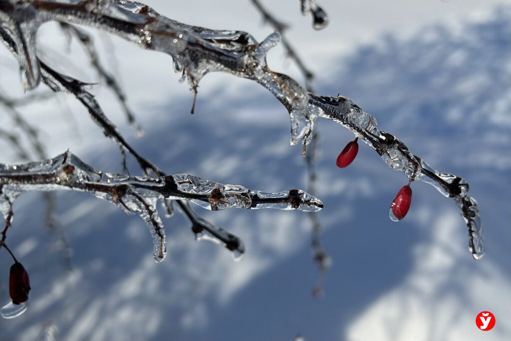 Морозы на подходе: коммунальщики Минщины переходят на режим полной готовности