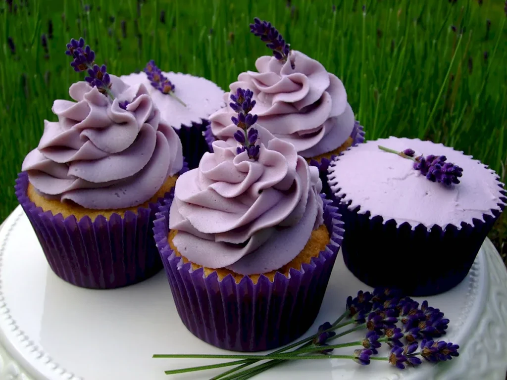 Два блюда из капусты, ароматные капкейки: собрали лучшие рецепты в фиолетовых тонах