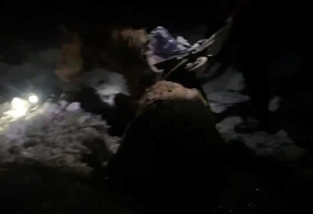 Конь в беде, МЧС — на высоте: спасательная операция развернулась под Минском